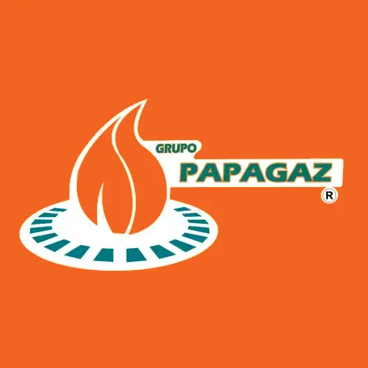 Logo Grupo Papagaz